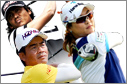 TEAM HONMA