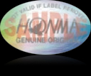 Hologram