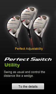 Perfect Switch Utility