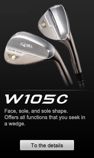 W105C WEDGE