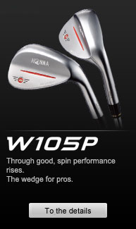 W105P WEDGE