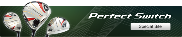 Perfect Switch Special Site