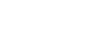 Vizard